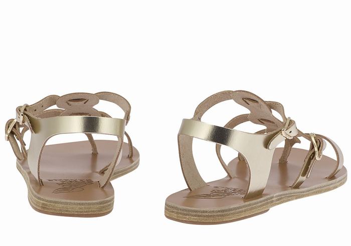 Sandales Casual Ancient Greek Sandals Grace Kelly Leather   | IND-1054896